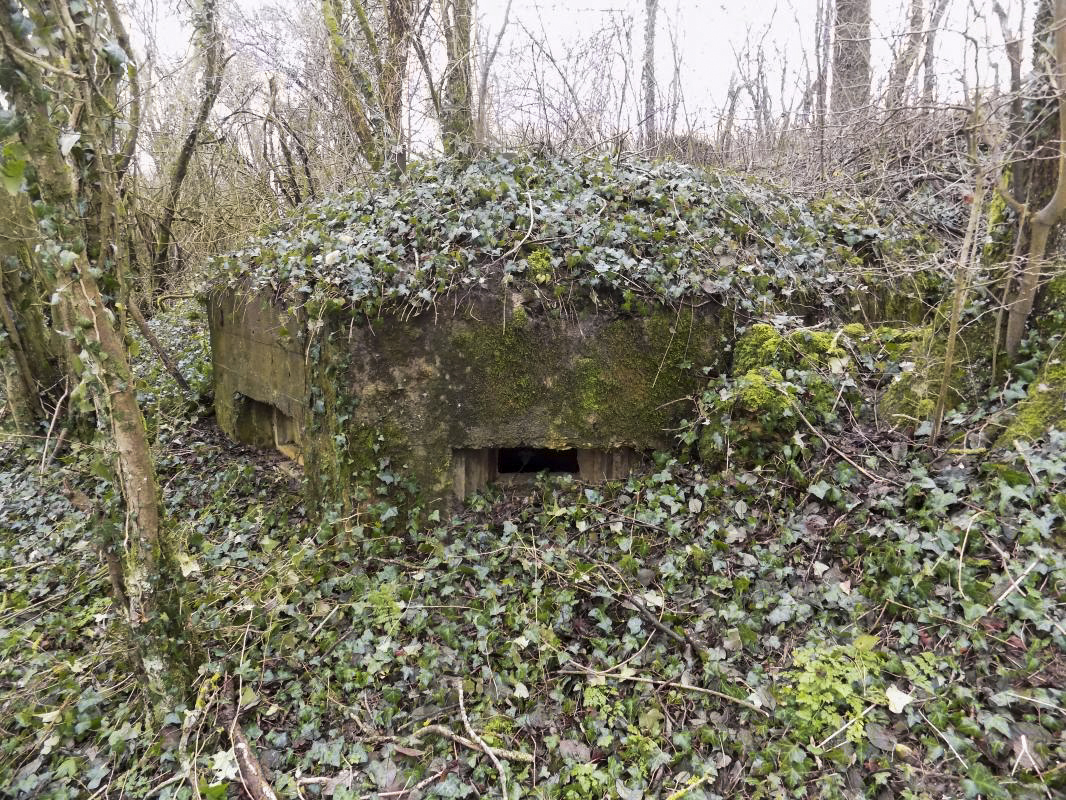 Ligne Maginot - E - CÔTE DU RÛ SUD - (Blockhaus pour arme infanterie) - Faces frontale et gauche - Richard TUCKER