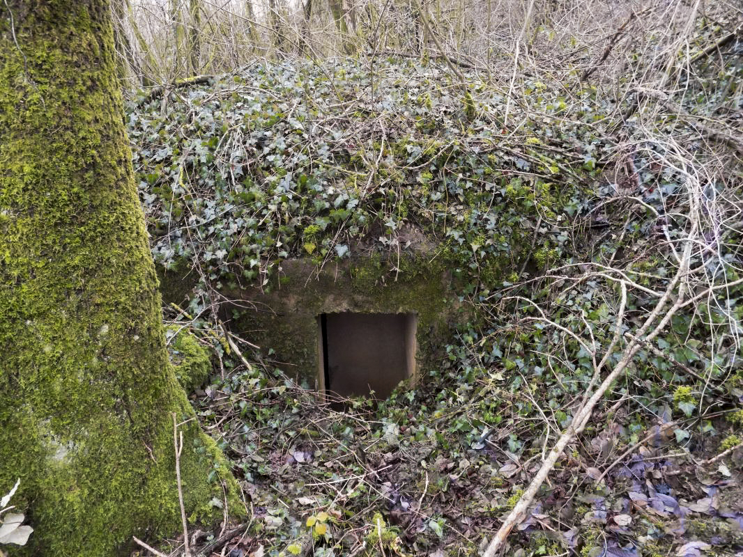 Ligne Maginot - E - CÔTE DU RÛ SUD - (Blockhaus pour arme infanterie) - L'entrée gauche - Richard TUCKER