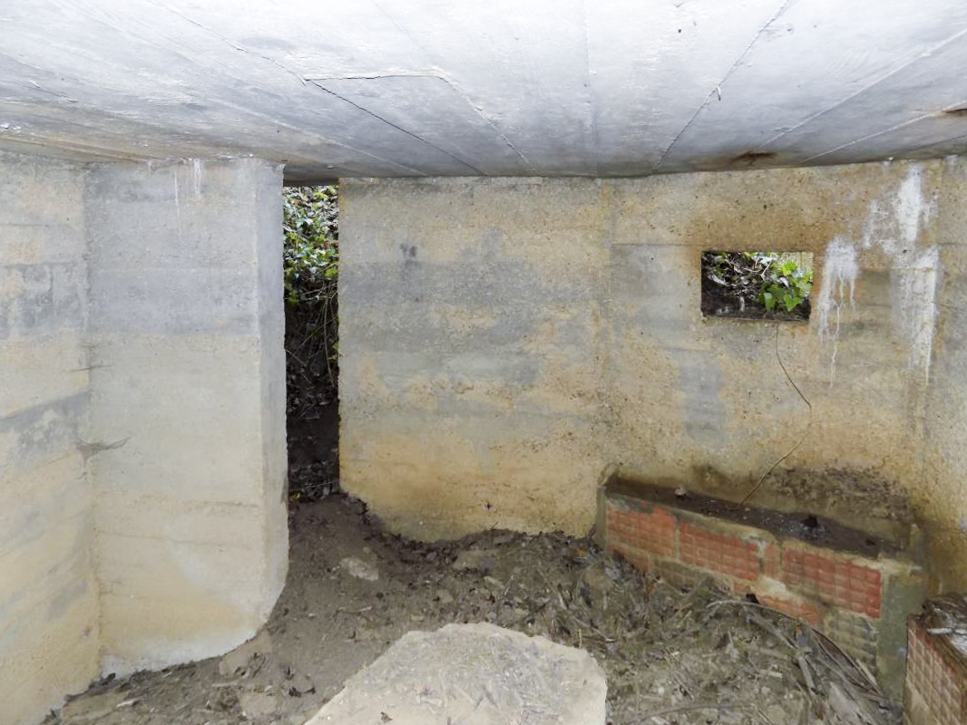 Ligne Maginot - E - CÔTE DU RÛ SUD - (Blockhaus pour arme infanterie) - Face gauche et son entrée. - Richard TUCKER