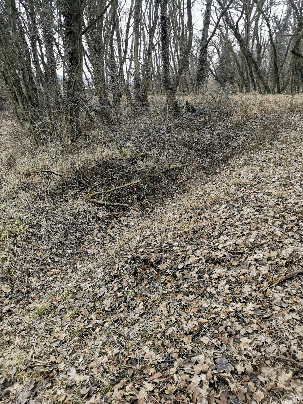 Ligne Maginot - KEMBS OUEST - (Barrage de Route) - Fossé antichar, également de l'autre côté de la route. - leiraph