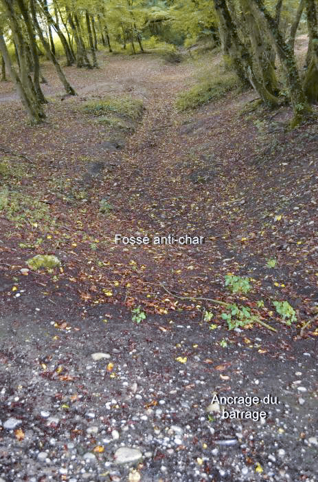 Ligne Maginot - KEMBS Ouest (Barrage de Route) - L'emplacement du barrage routier - D. Froehly