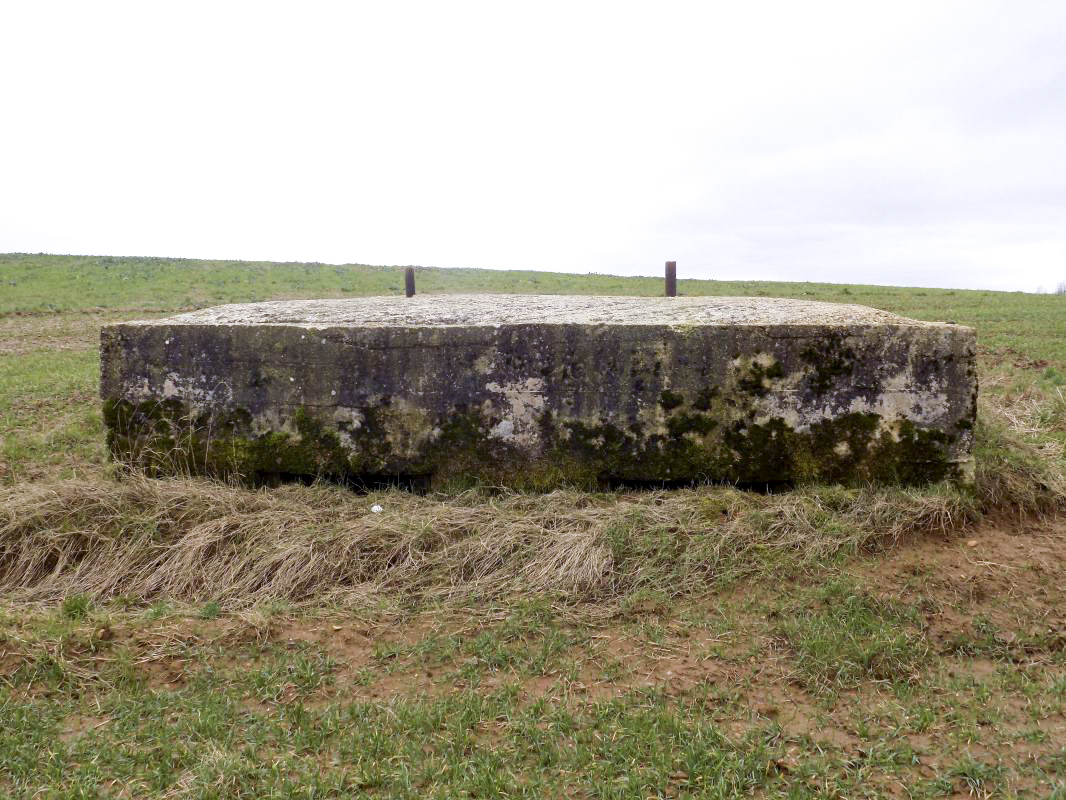 Ligne Maginot - P5 - PORTE DE GARDE - (Blockhaus pour arme infanterie) - Face frontale - R Tucker