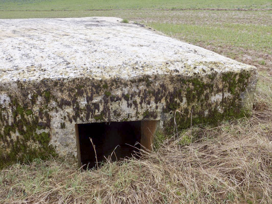 Ligne Maginot - P5 - PORTE DE GARDE - (Blockhaus pour arme infanterie) - Face gauche, l'entrée hommes - R Tucker