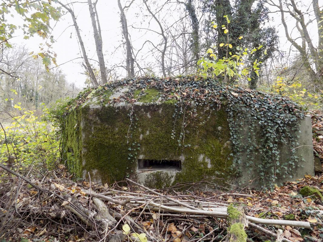 Ligne Maginot - R4 - CHATEAU DE REMILLY - (Blockhaus pour arme infanterie) - Façade, coté gauche - R Tucker