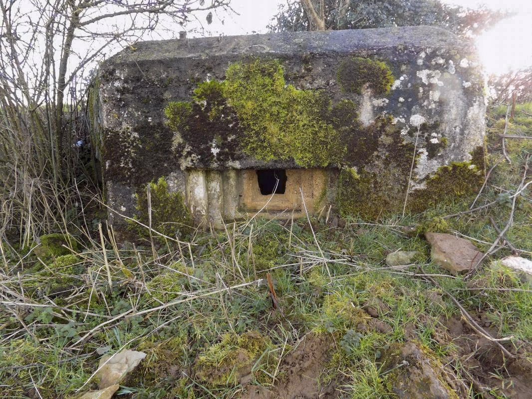 Ligne Maginot - R2 - RESERVOIR DU PAQUIS CENTRE - (Blockhaus pour arme infanterie) - Face Frontale - R Tucker
