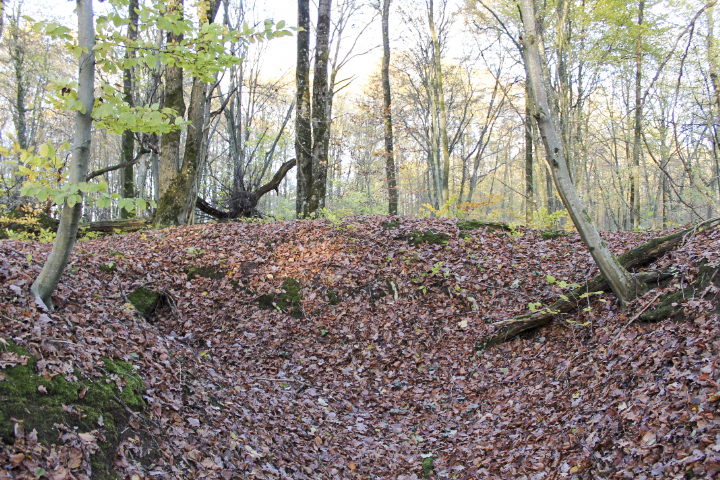 Ligne Maginot - PFAFFENBUSCH 6 - (Abri) -  - Christian LENHARD