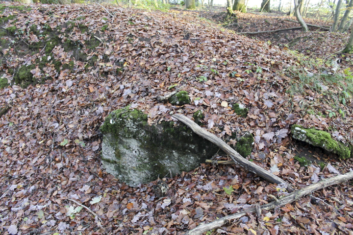 Ligne Maginot - PFAFFENBUSCH 6 - (Abri) -  - Christian LENHARD