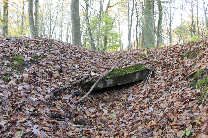Ligne Maginot - PFAFFENBUSCH 6 - (Abri) - Le linteau de l'entrée - Christian LENHARD