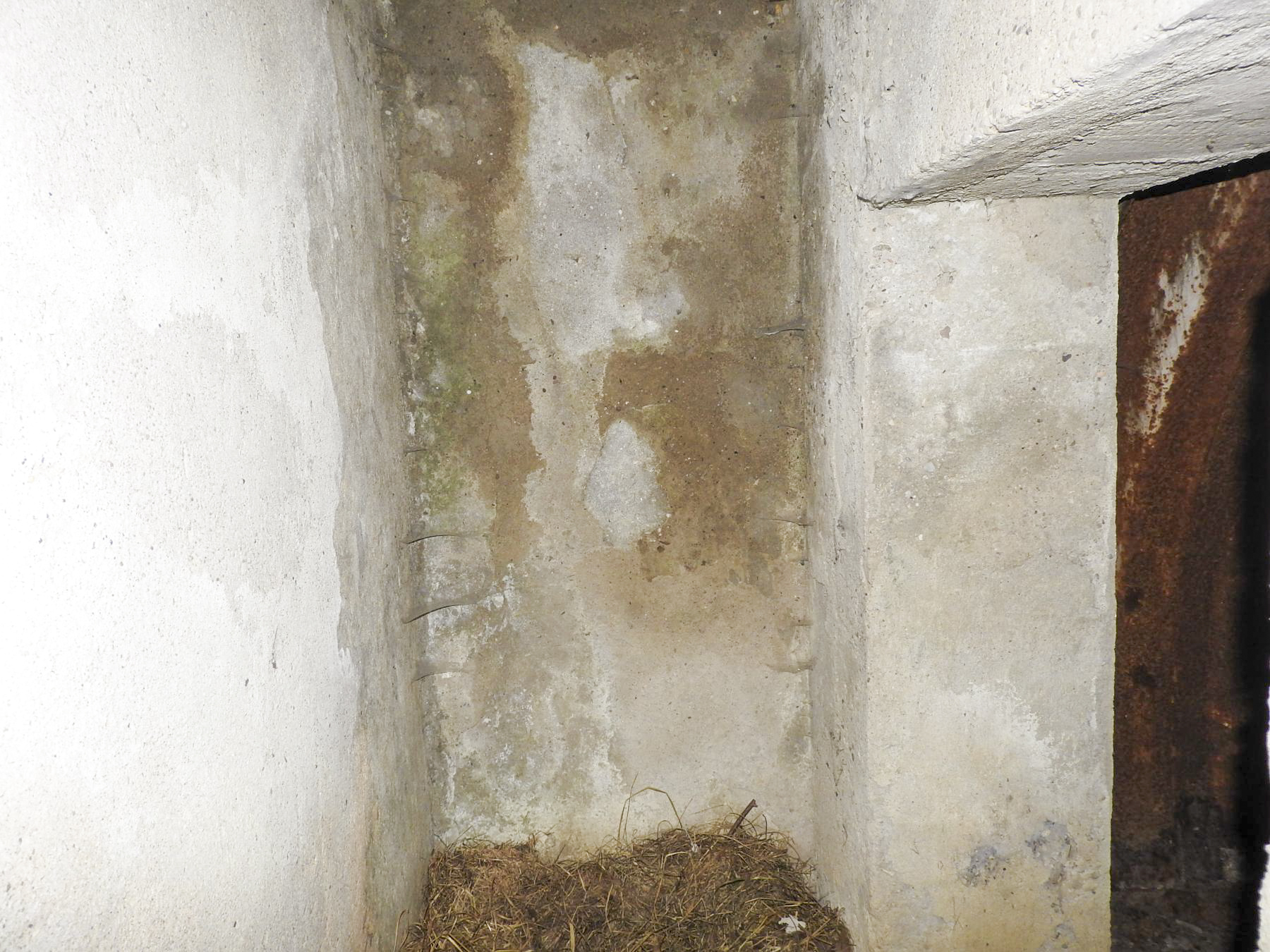 Ligne Maginot - FERME DE MOHRENHOF (166° RIF) - (PC de Sous-Secteur) - Le couloir de l'entrée. - STENGER Mathieu