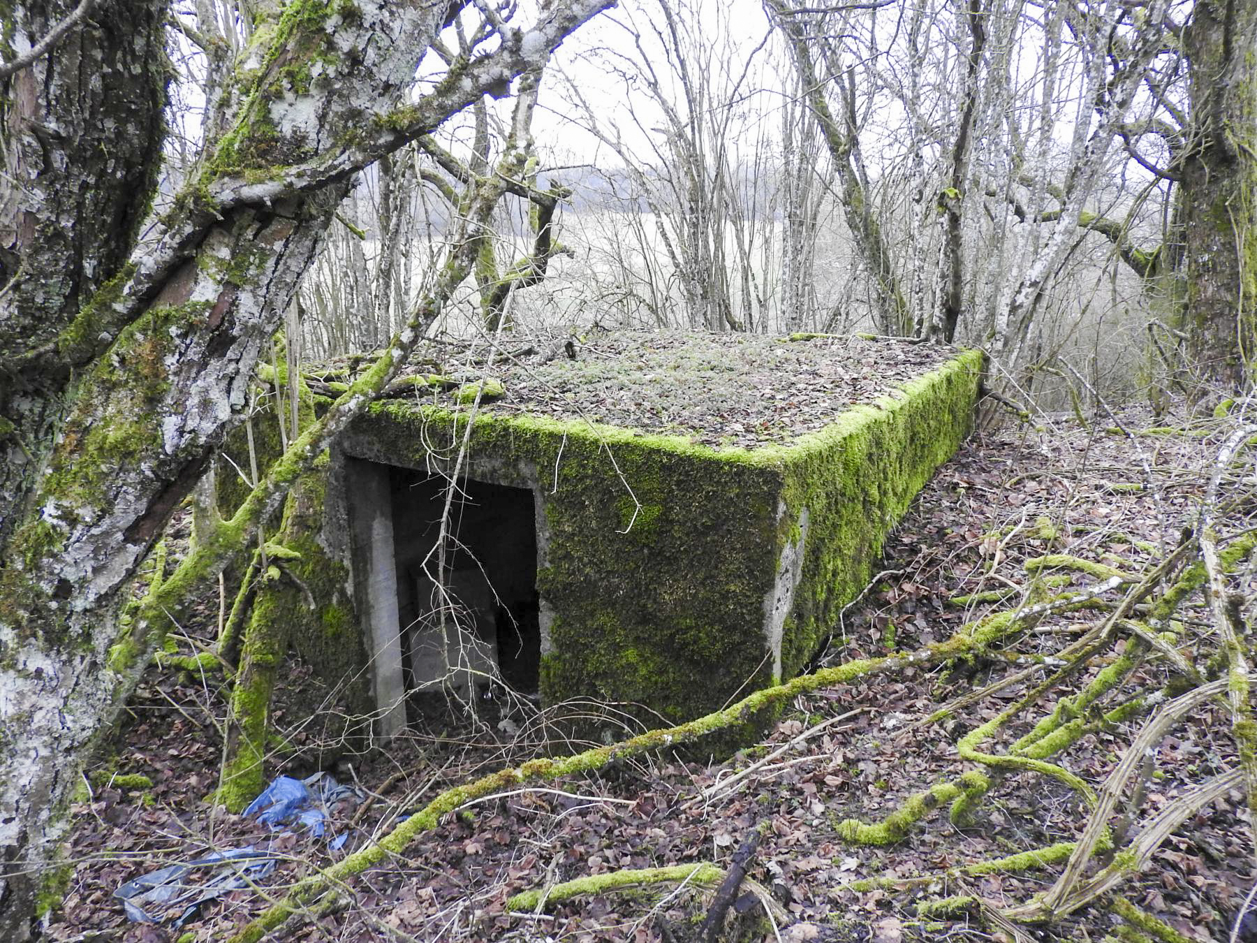 Ligne Maginot - STEINER DEL 4 - (Blockhaus pour canon) - Une vue arrière du blockhaus - STENGER Mathieu