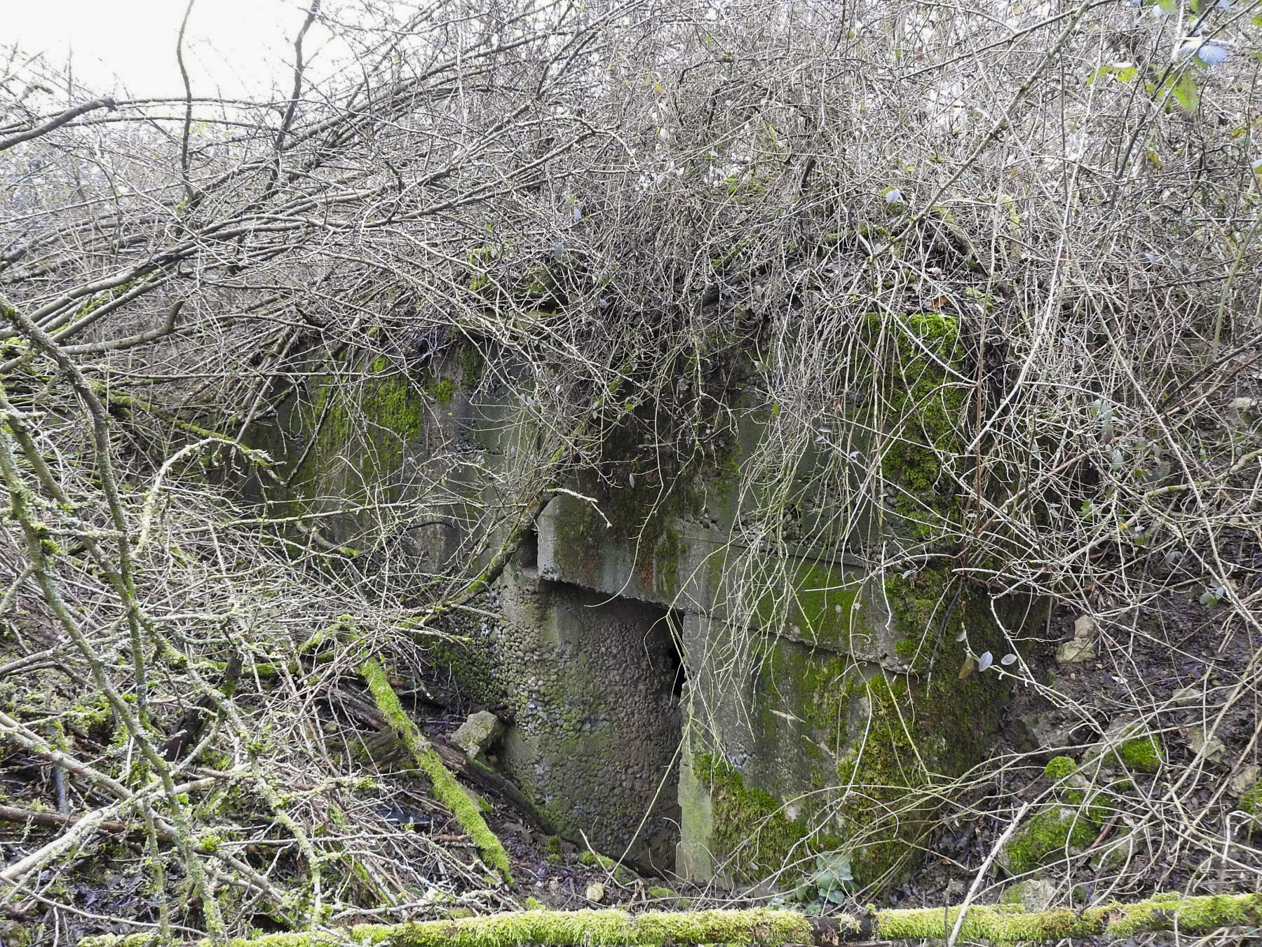 Ligne Maginot - KIBREN - (Abri) - La façade en partie cachée par la végétation. - STENGER Mathieu