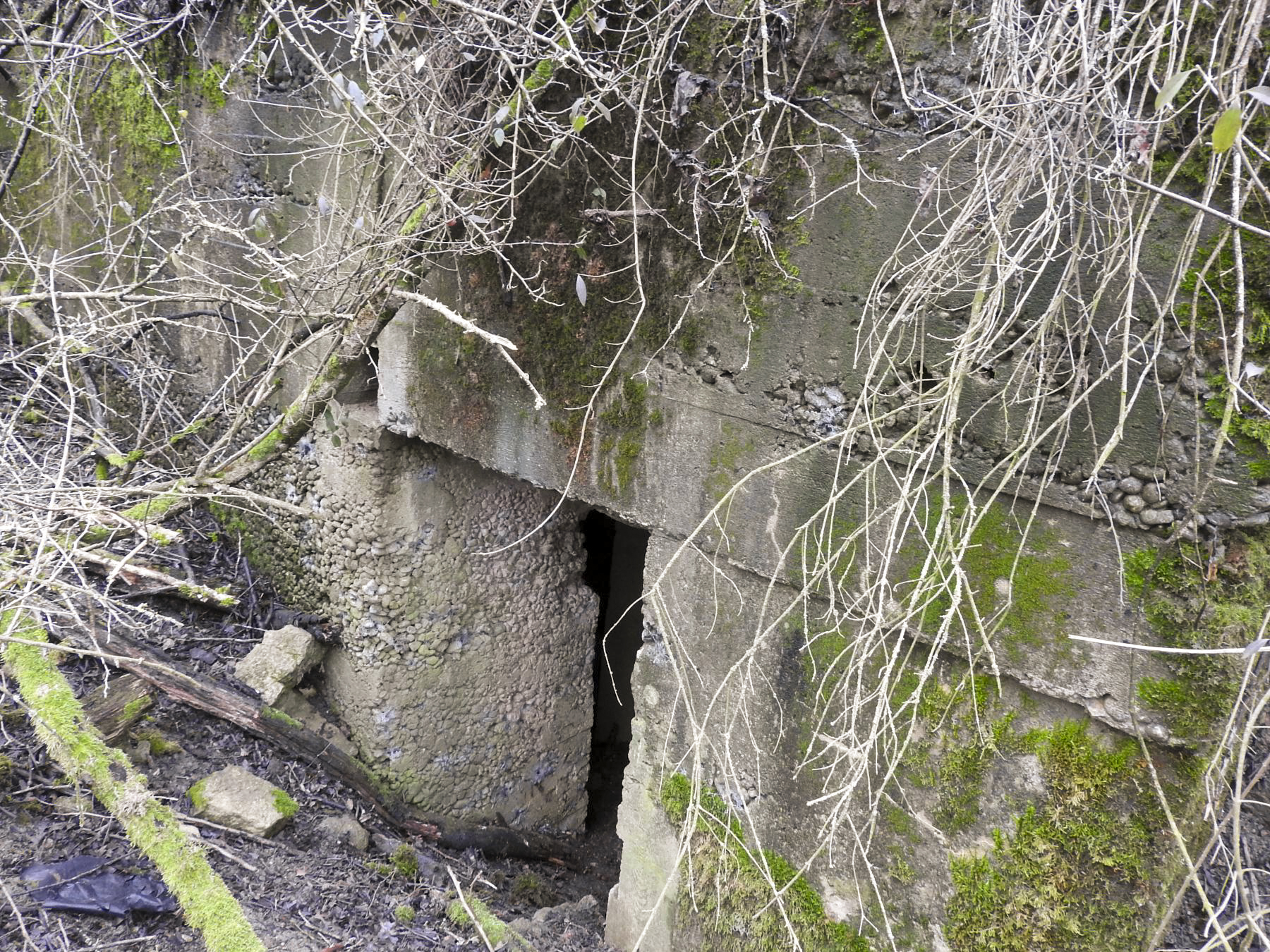 Ligne Maginot - KIBREN - (Abri) - L'entrée de droite de l'abri. - STENGER Mathieu