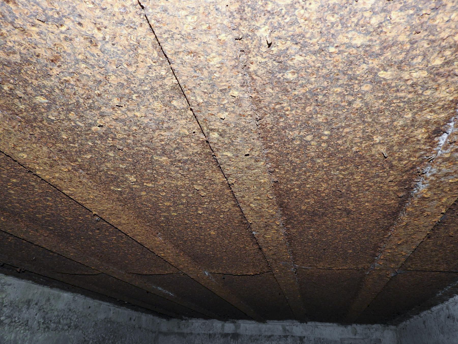Ligne Maginot - KIBREN - (Abri) - La couverture blindée des pièces de l'abri. - STENGER Mathieu