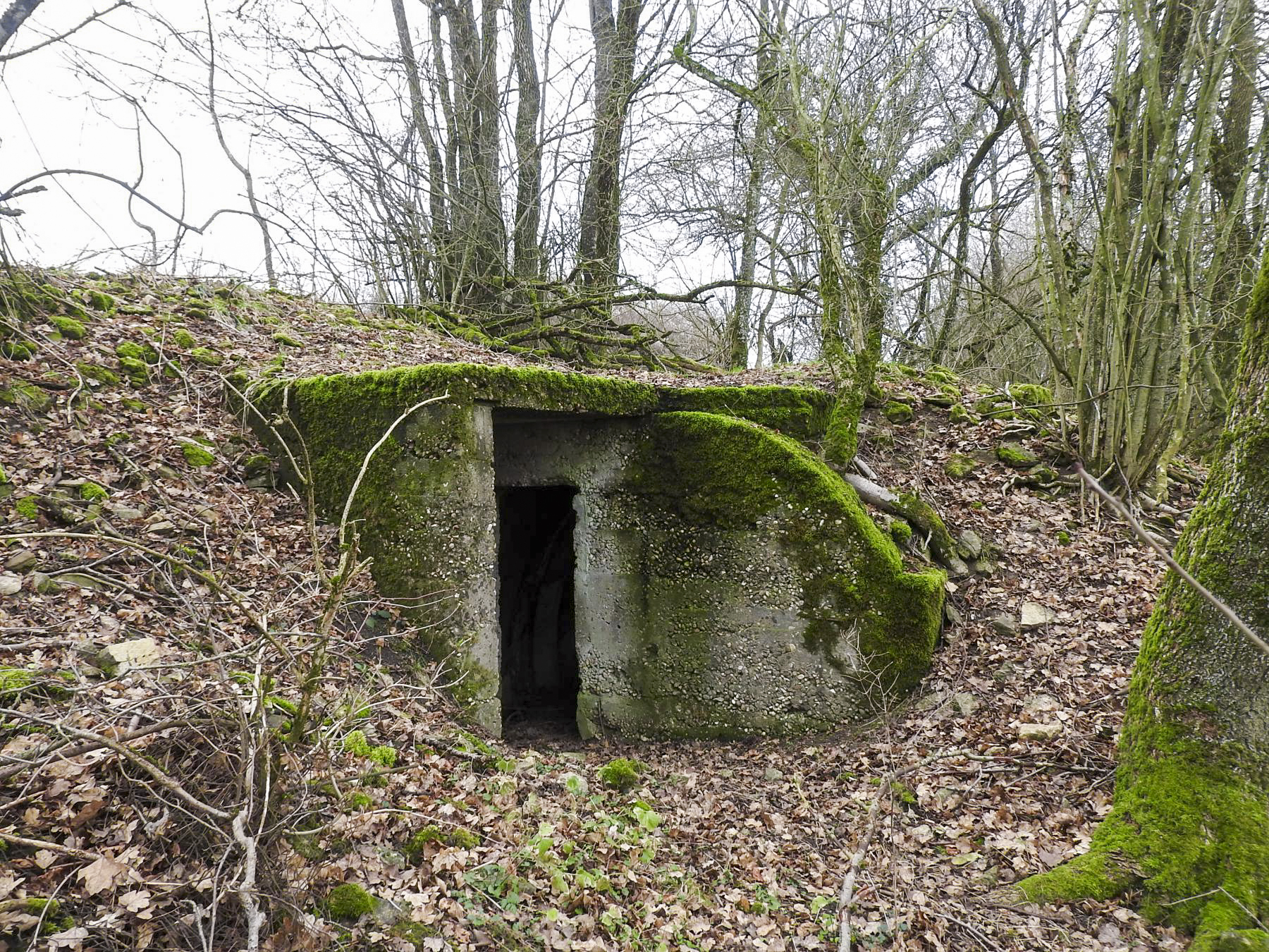 Ligne Maginot - SAUUNTER - (Abri) - L'unique entrée de l'abri. - STENGER Mathieu
