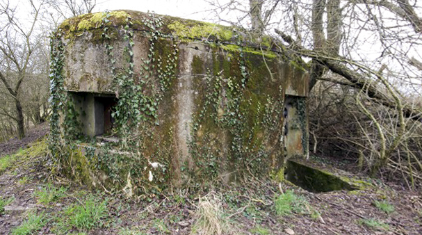 Ligne Maginot - R12B - (Blockhaus pour arme infanterie) -  - Association Les Bergers des Pierres