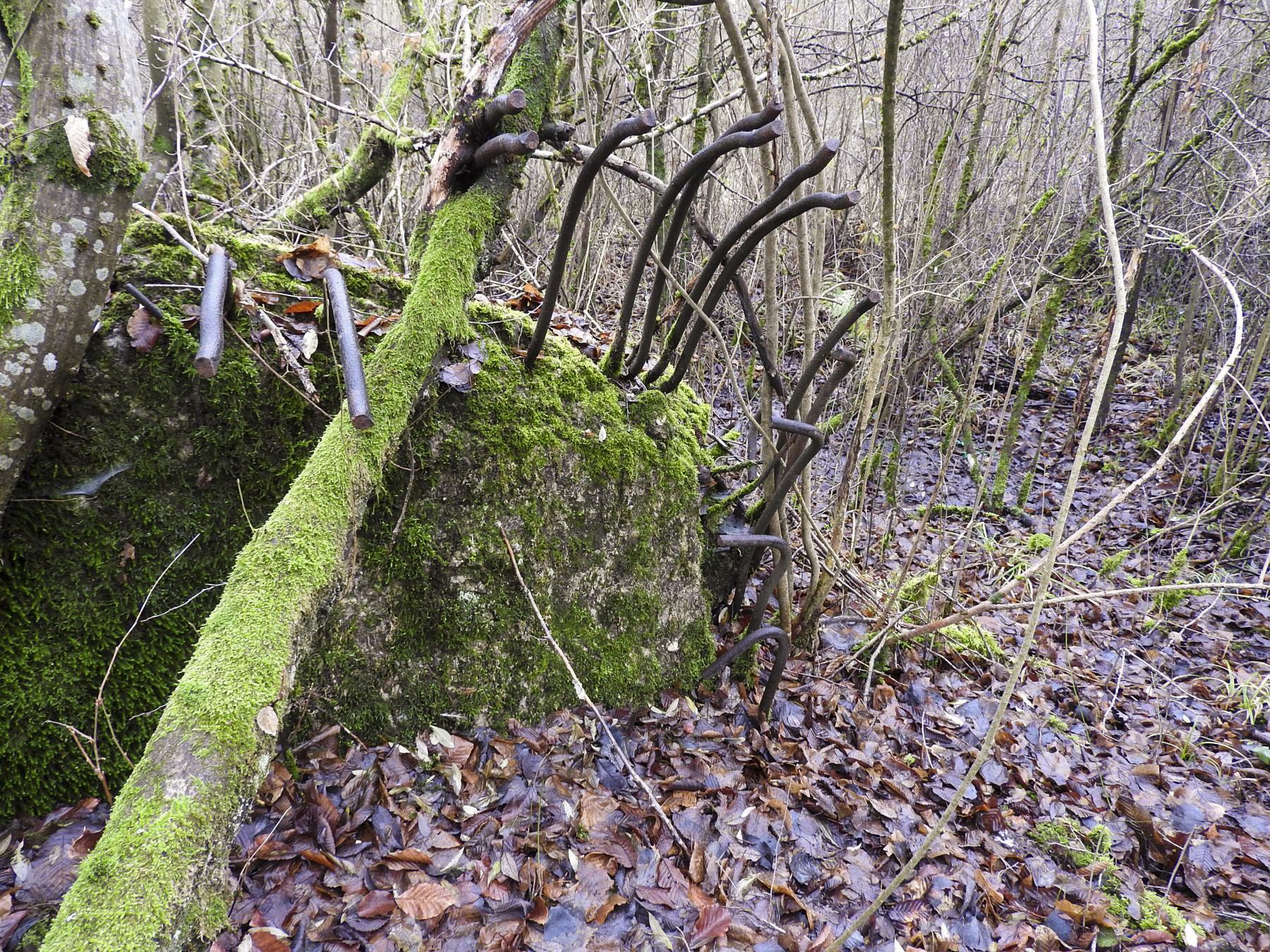 Ligne Maginot - ROHRWALD EST - (Blockhaus de type indéterminé) - Les débris du blockhaus. - STENGER Mathieu