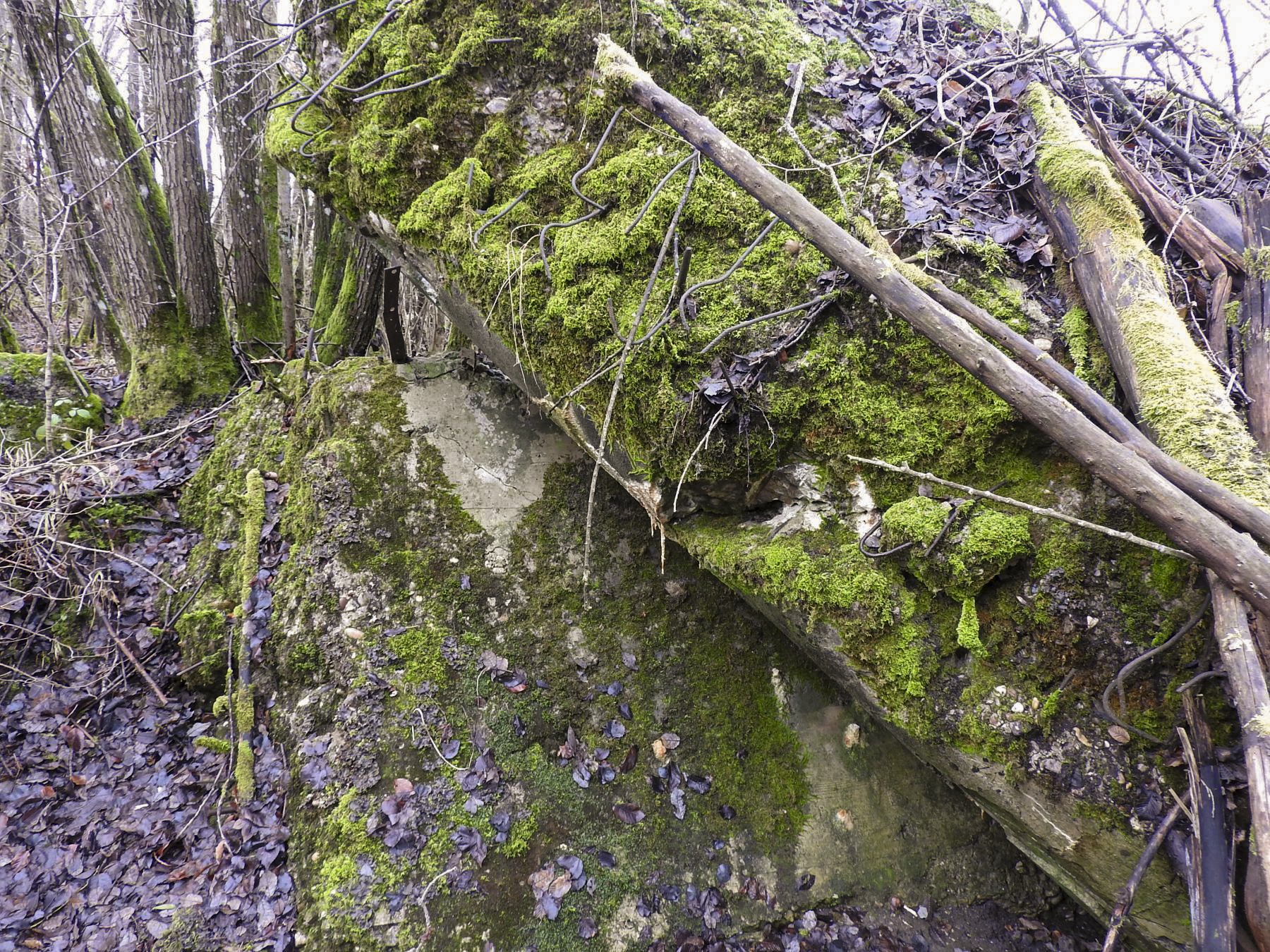 Ligne Maginot - ROHRWALD EST - (Blockhaus de type indéterminé) - Les débris du blockhaus. - STENGER Mathieu