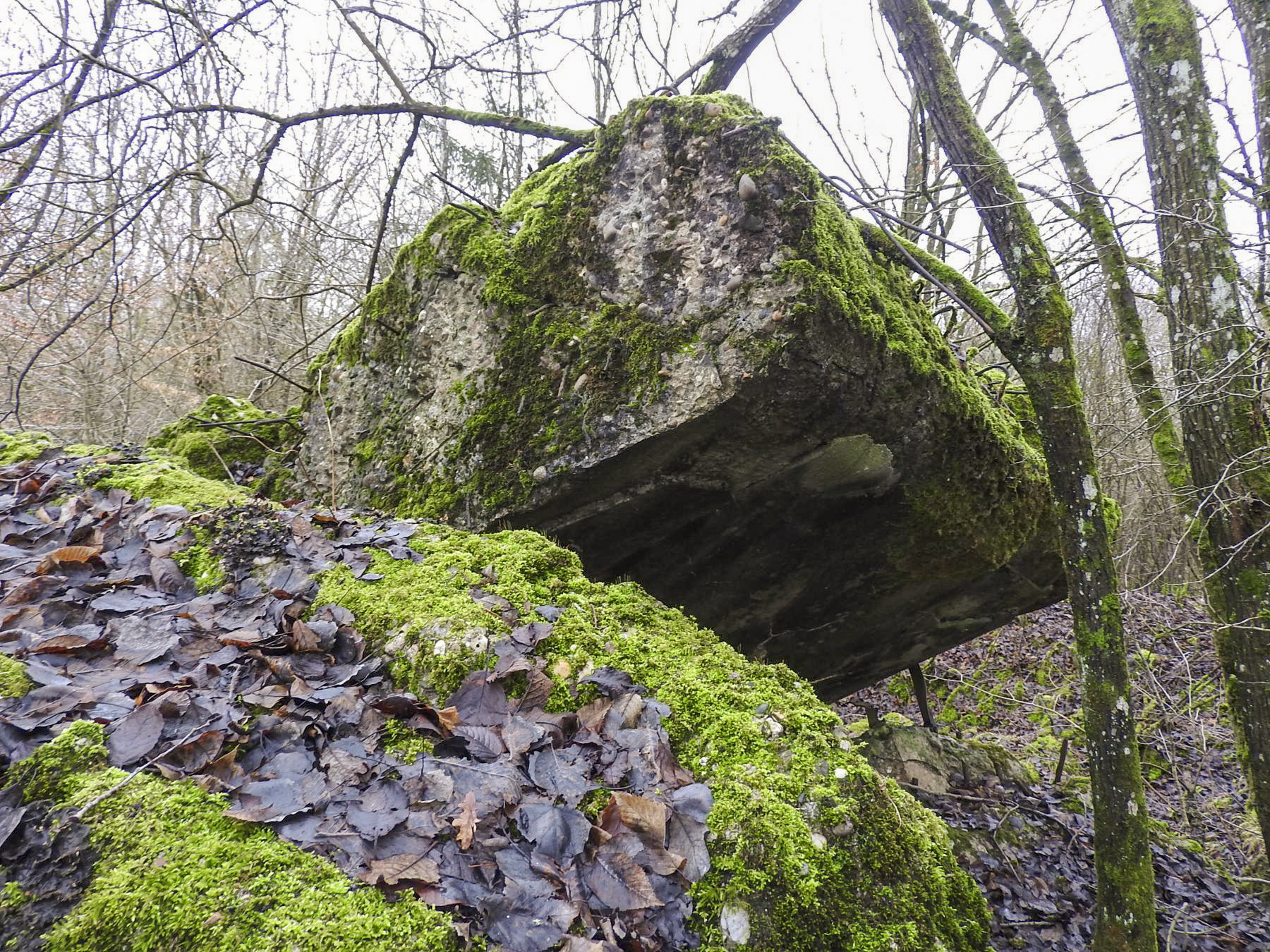 Ligne Maginot - ROHRWALD EST - (Blockhaus de type indéterminé) - La dalle supérieure retournée. - STENGER Mathieu