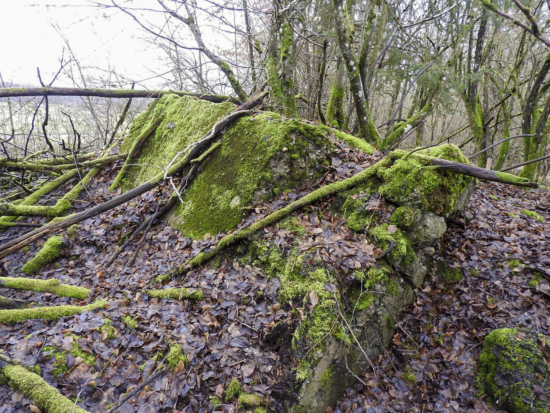 Ligne Maginot - ROHRWALD EST - (Blockhaus de type indéterminé) - Les débris du blockhaus. - STENGER Mathieu
