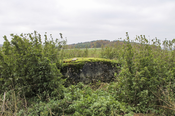 Ligne Maginot - TIERGARTEN 1 - (Observatoire d'infanterie) - Vue générale - Christian LENHARD