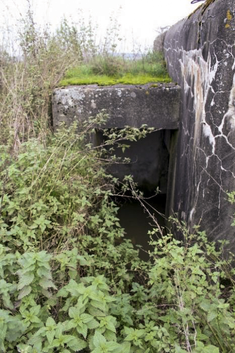 Ligne Maginot - TIERGARTEN 2 - L'entrée - Christian LENHARD