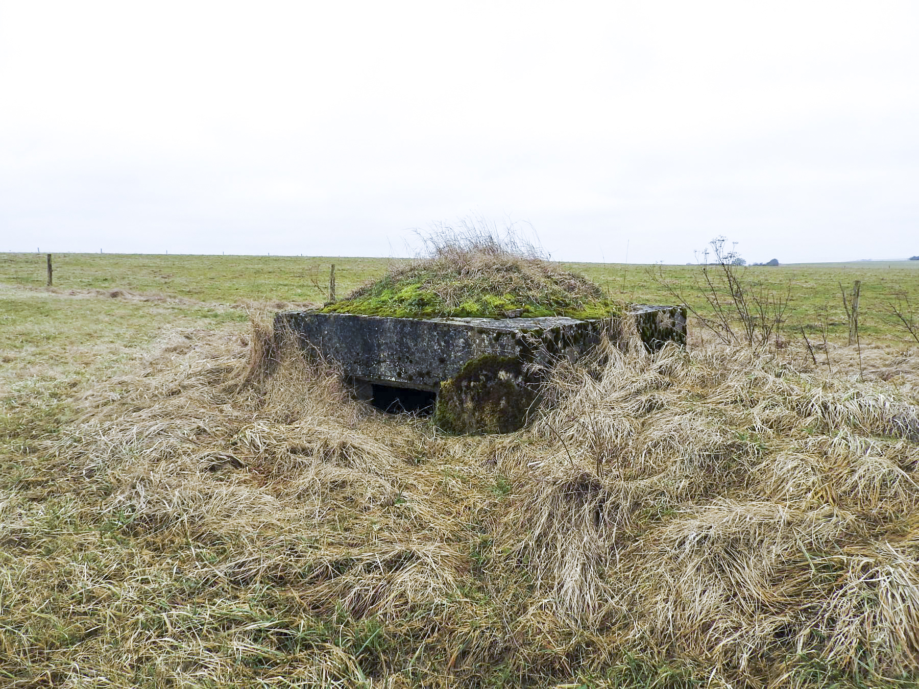Ligne Maginot - SALWALD 3 - (Blockhaus pour arme infanterie) -  - STENGER Mathieu