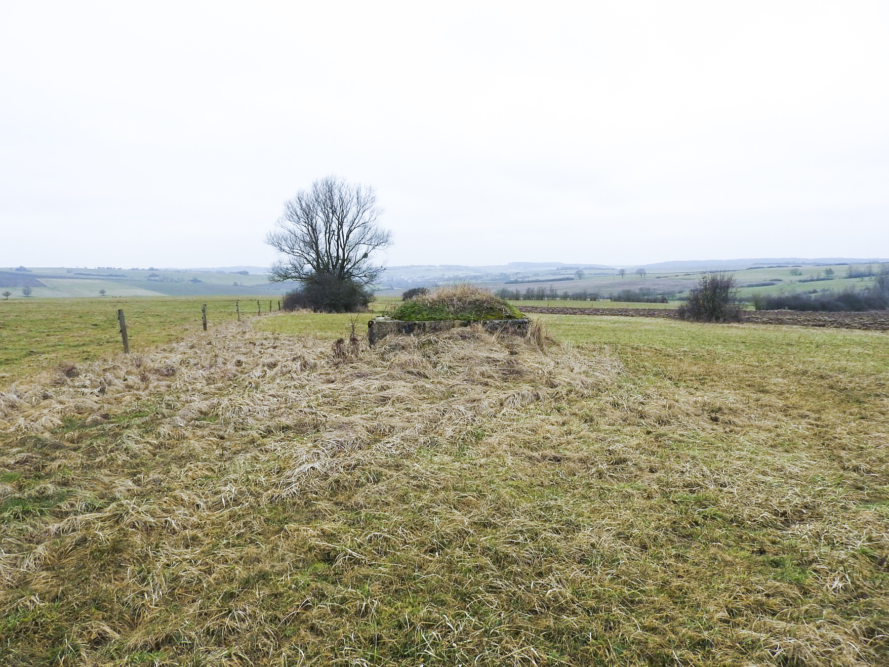 Ligne Maginot - SALWALD 3 - (Blockhaus pour arme infanterie) - Le blockhaus dans son environnement
Le Salwald 2 se trouve dans les arbustes à gauche. - STENGER Mathieu