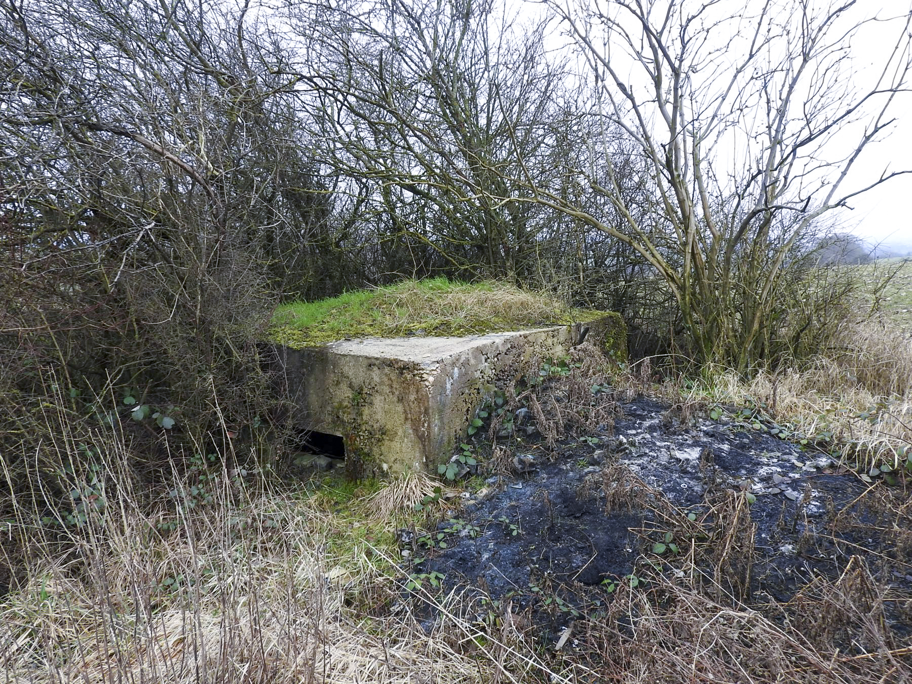 Ligne Maginot - SALWALD 5 - (Blockhaus pour arme infanterie) -  - STENGER Mathieu