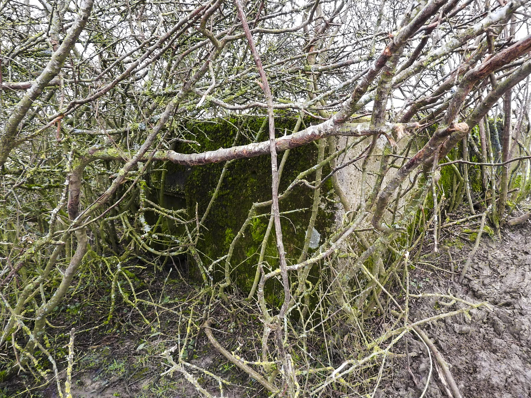 Ligne Maginot - SALWALD 1 - (Blockhaus pour arme infanterie) - L'entrée du blockhaus. - STENGER Mathieu