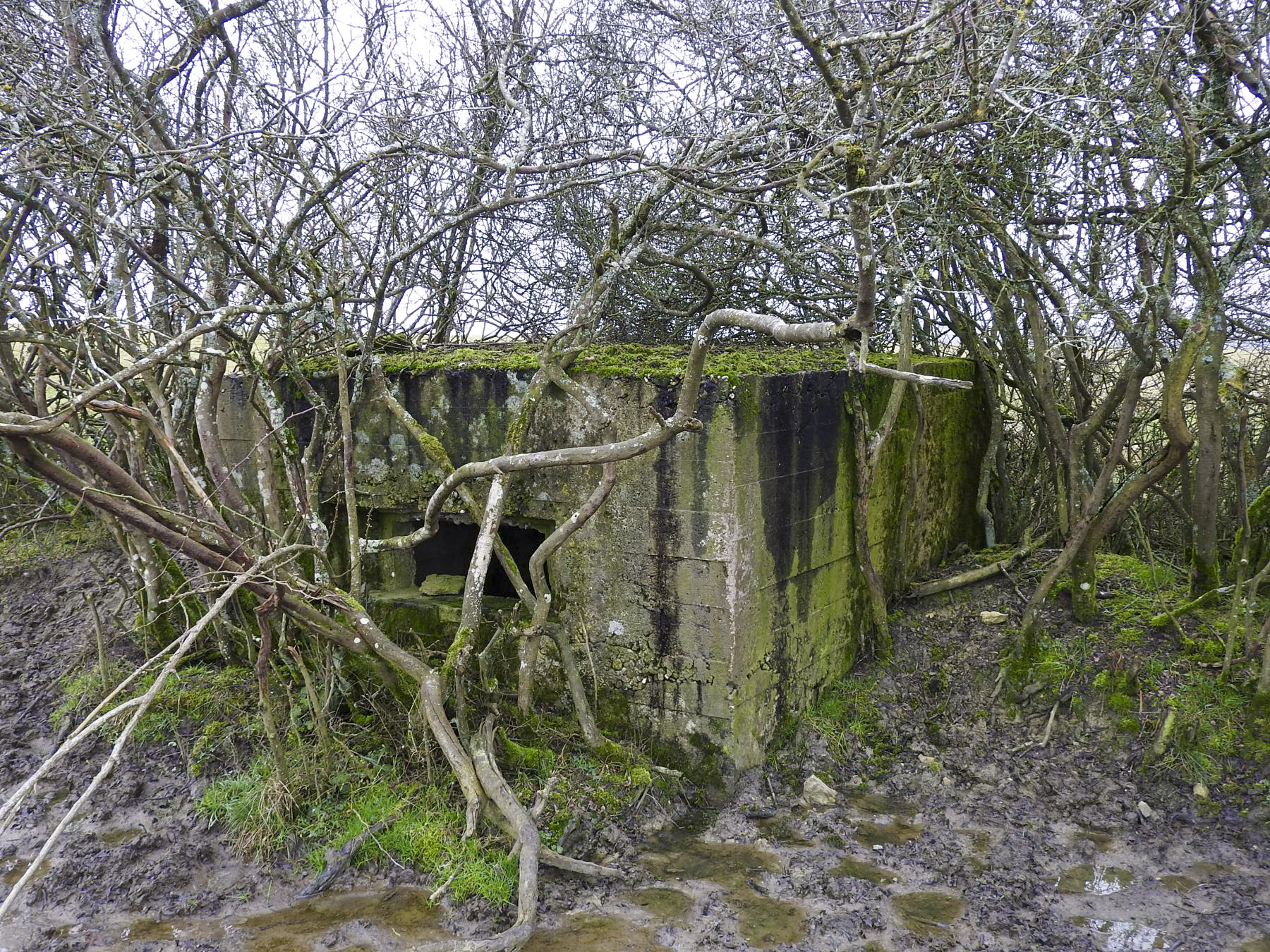 Ligne Maginot - SALWALD 1 - (Blockhaus pour arme infanterie) - La façade de tir. - STENGER Mathieu