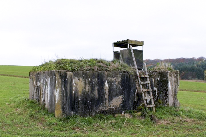 Ligne Maginot - TIERGARTEN 5 - (Blockhaus pour arme infanterie) - Vue générale - Christian LENHARD