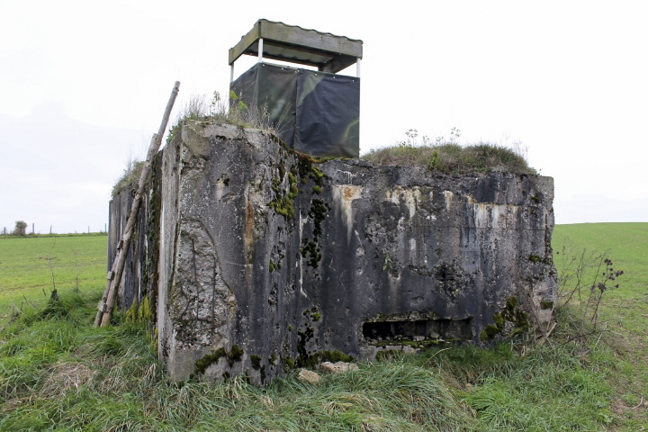 Ligne Maginot - TIERGARTEN 5 - (Blockhaus pour arme infanterie) - Façade de tir - Christian LENHARD