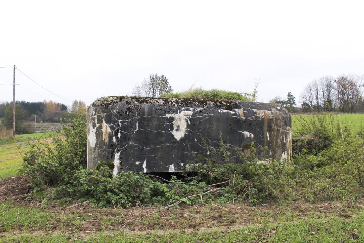 Ligne Maginot - TIERGARTEN 6 - (Blockhaus pour arme infanterie) - Façade de tir - Christian LENHARD