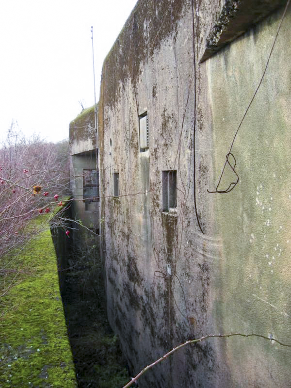 Ligne Maginot - HETTANGE GRANDE - X8 (QUARTIER ROUSSY - III/168°RIF) - (Abri) - Vue de la façade arrière de l'abri et du fossé diamant - Michel Teiten