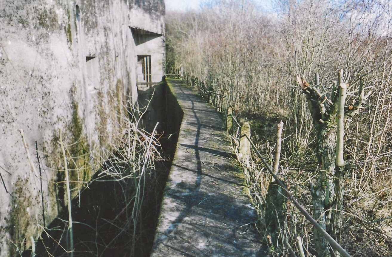 Ligne Maginot - HETTANGE GRANDE - X8 (QUARTIER ROUSSY - III/168°RIF) - (Abri) - Vue de la façade de l'abri et du fossé diamant - THIL Anthony
