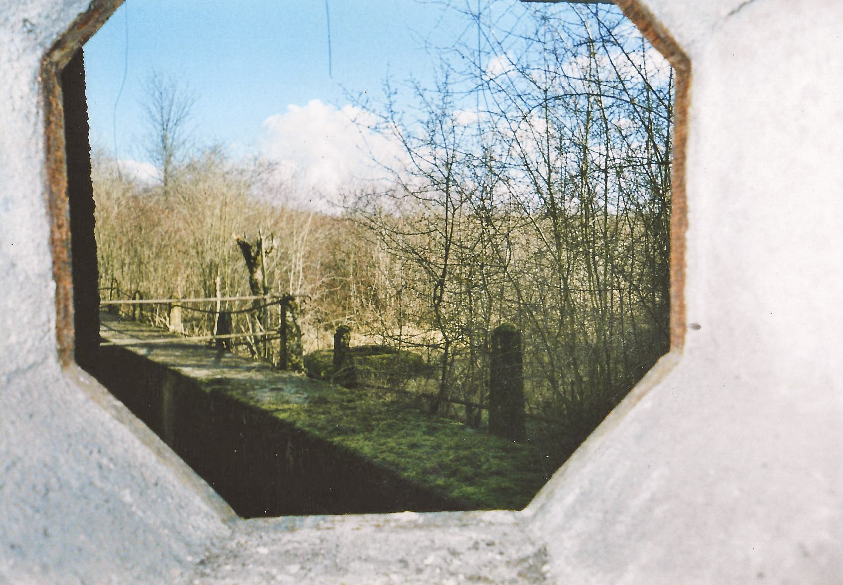 Ligne Maginot - HETTANGE GRANDE - X8 (QUARTIER ROUSSY - III/168°RIF) - (Abri) - Vue depuis le créneau - THIL Anthony
