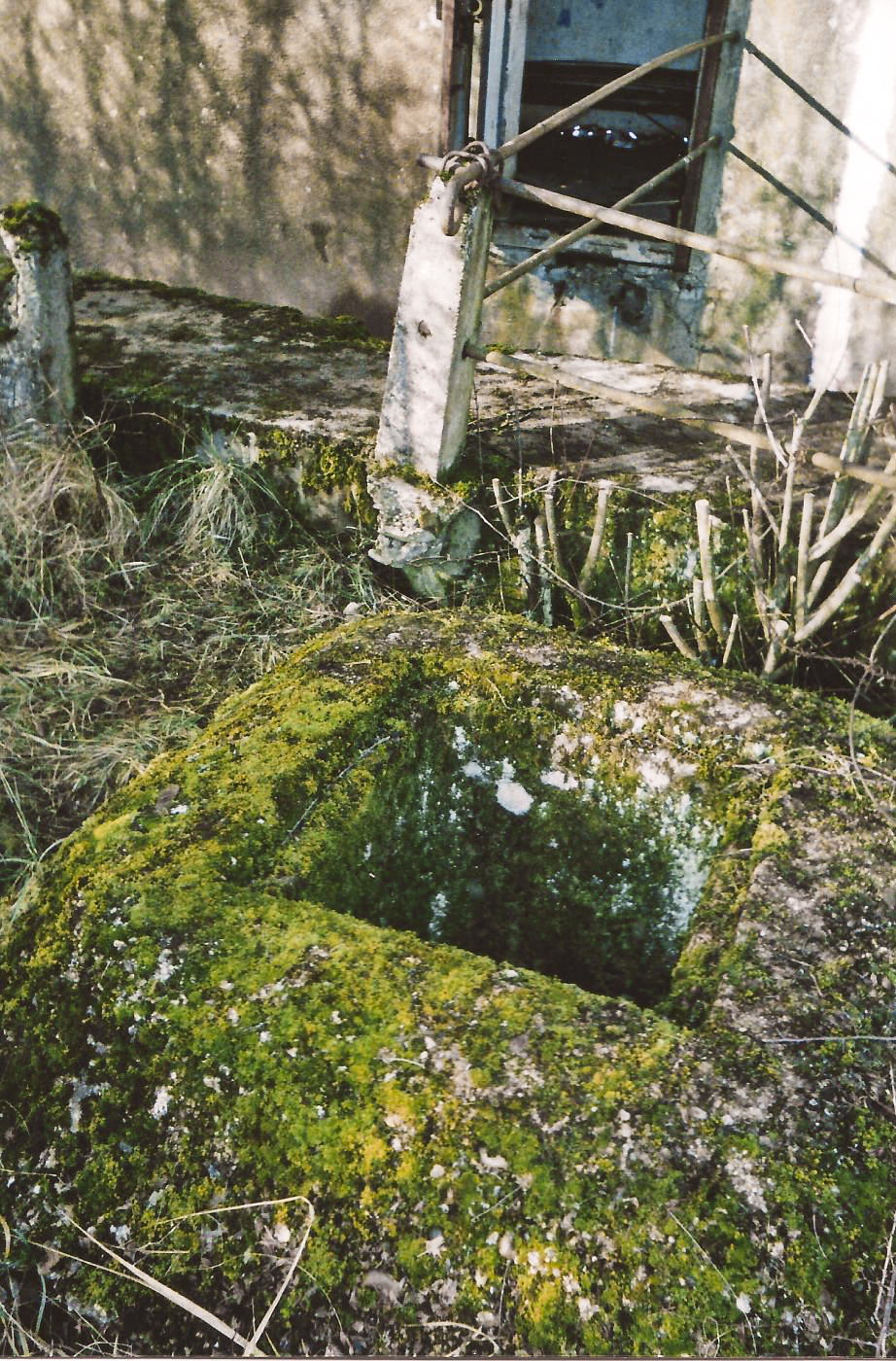 Ligne Maginot - HETTANGE GRANDE - X8 (QUARTIER ROUSSY - III/168°RIF) - (Abri) -  - THIL Anthony