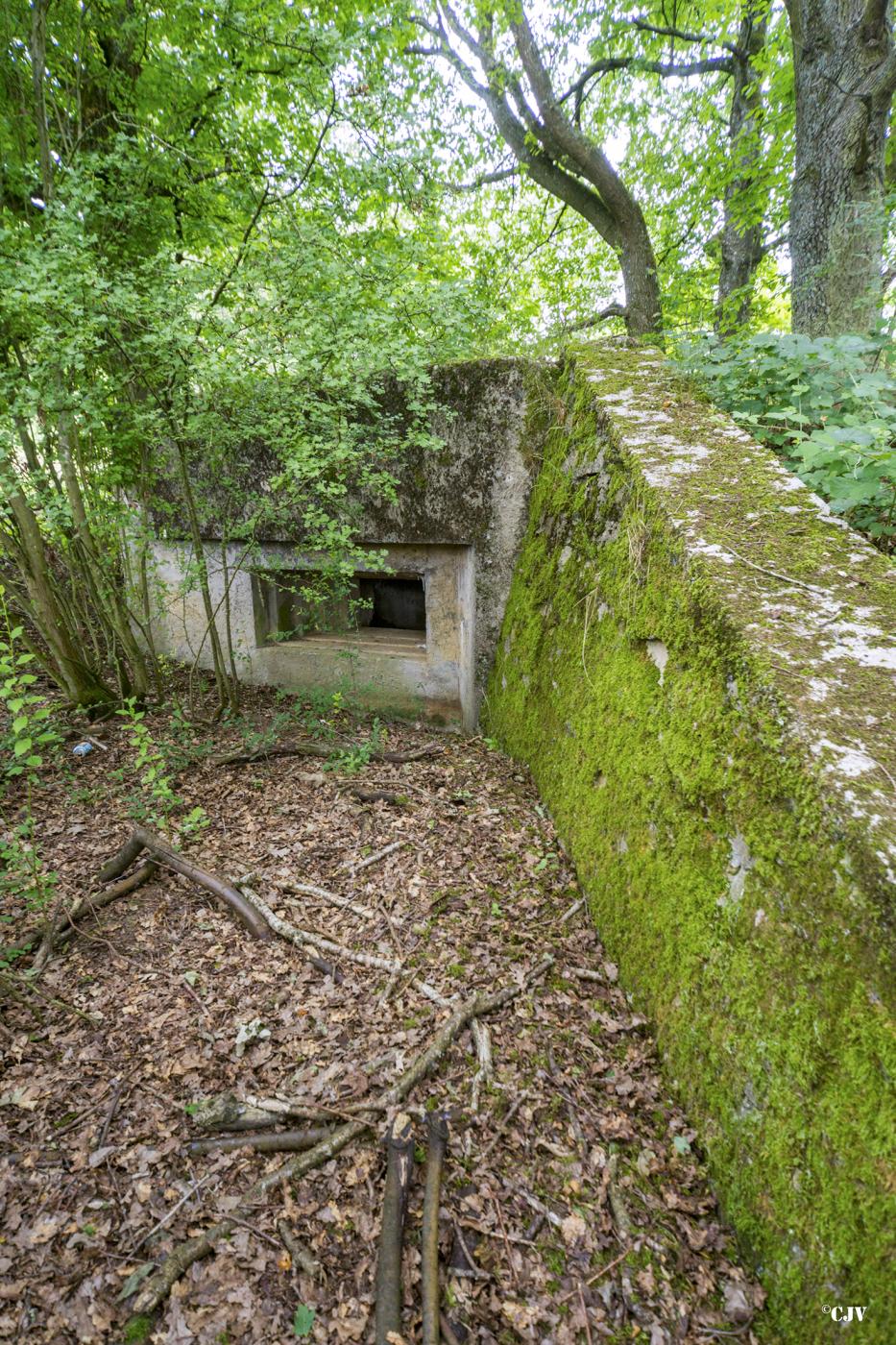 Ligne Maginot - C9 - DIGUE DE RICHELING 4 - (Blockhaus pour canon) -  - Lia VERMEULEN