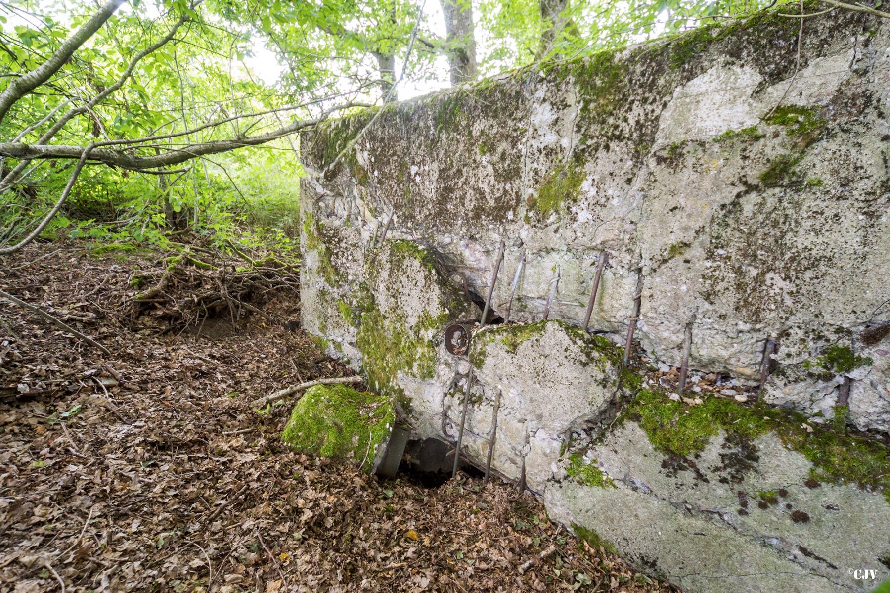 Ligne Maginot - C9 - DIGUE DE RICHELING 4 - (Blockhaus pour canon) -  - Lia VERMEULEN
