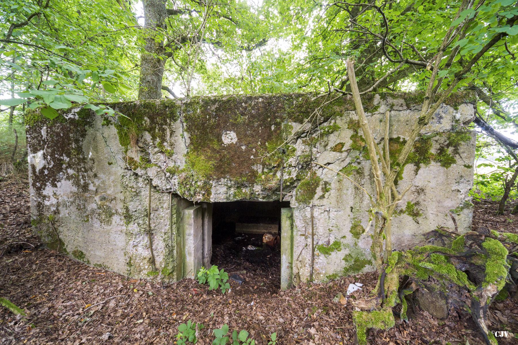 Ligne Maginot - C9 - DIGUE DE RICHELING 4 - (Blockhaus pour canon) -  - Lia VERMEULEN