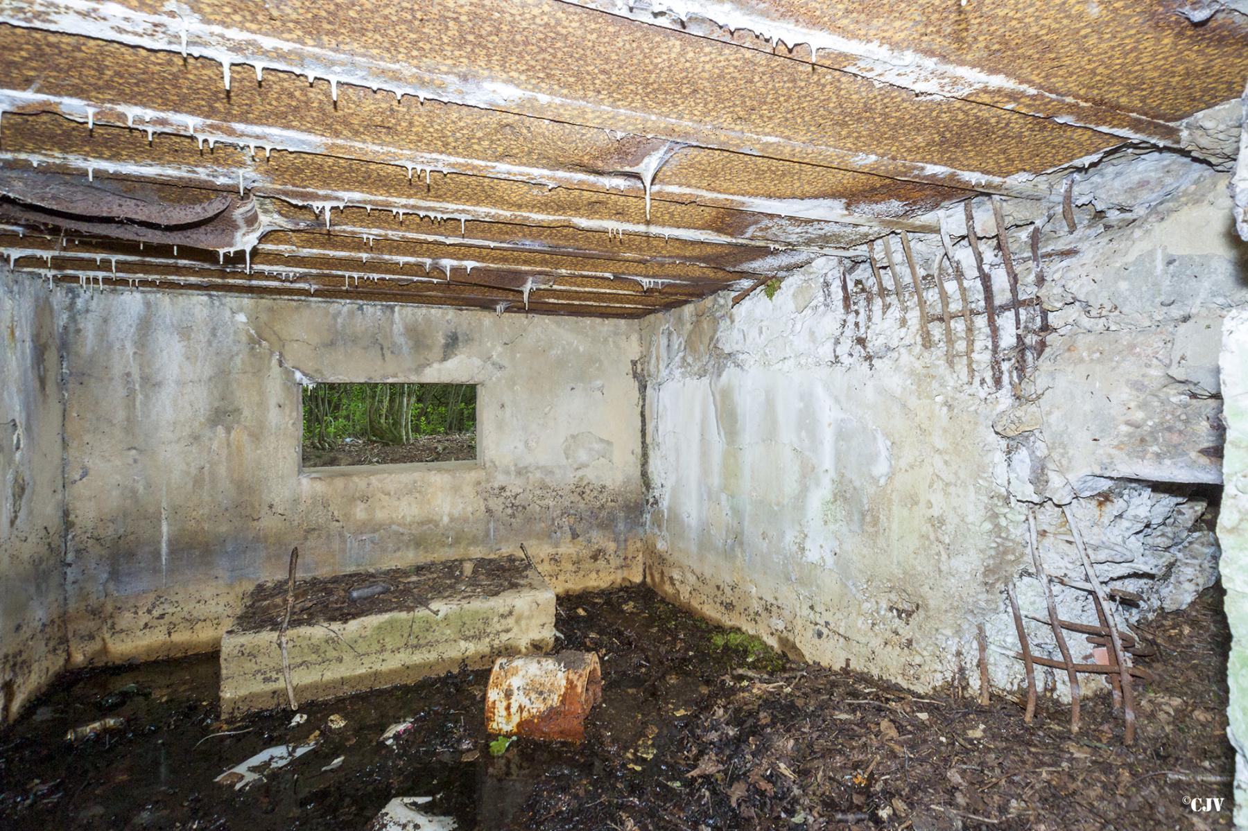 Ligne Maginot - C9 - DIGUE DE RICHELING 4 - (Blockhaus pour canon) -  - Lia VERMEULEN