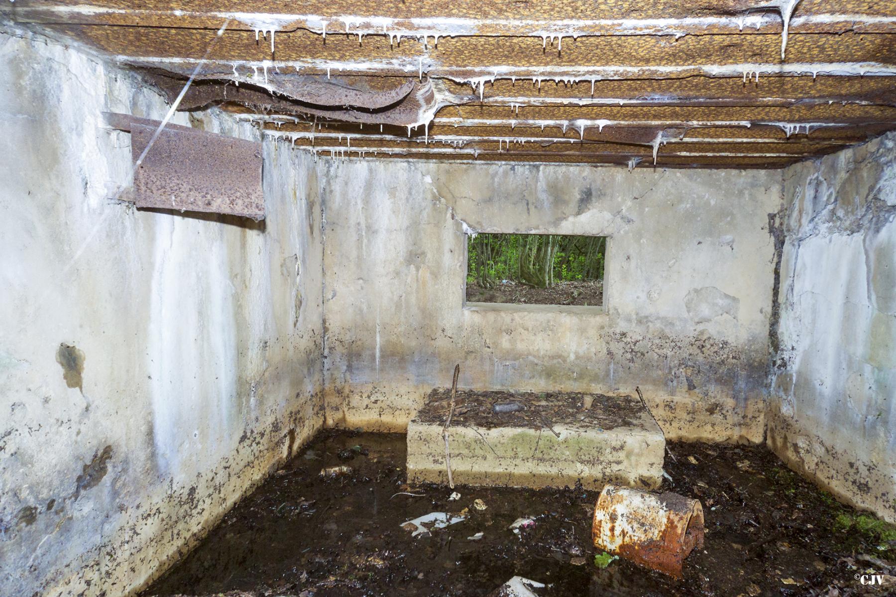Ligne Maginot - C9 - DIGUE DE RICHELING 4 - (Blockhaus pour canon) -  - Lia VERMEULEN