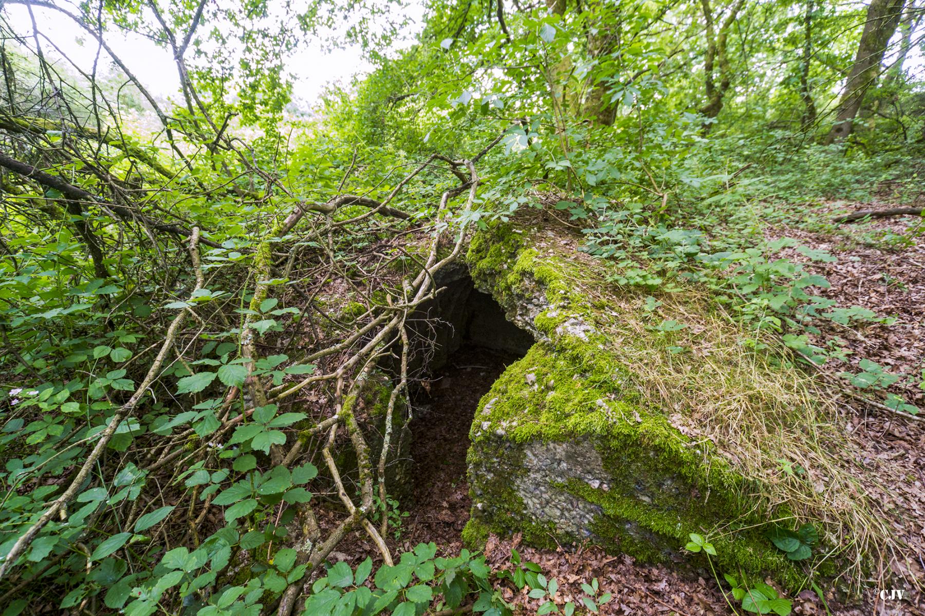 Ligne Maginot - DIGUE DE RICHELING 4BIS - (Abri) -  - Lia VERMEULEN
