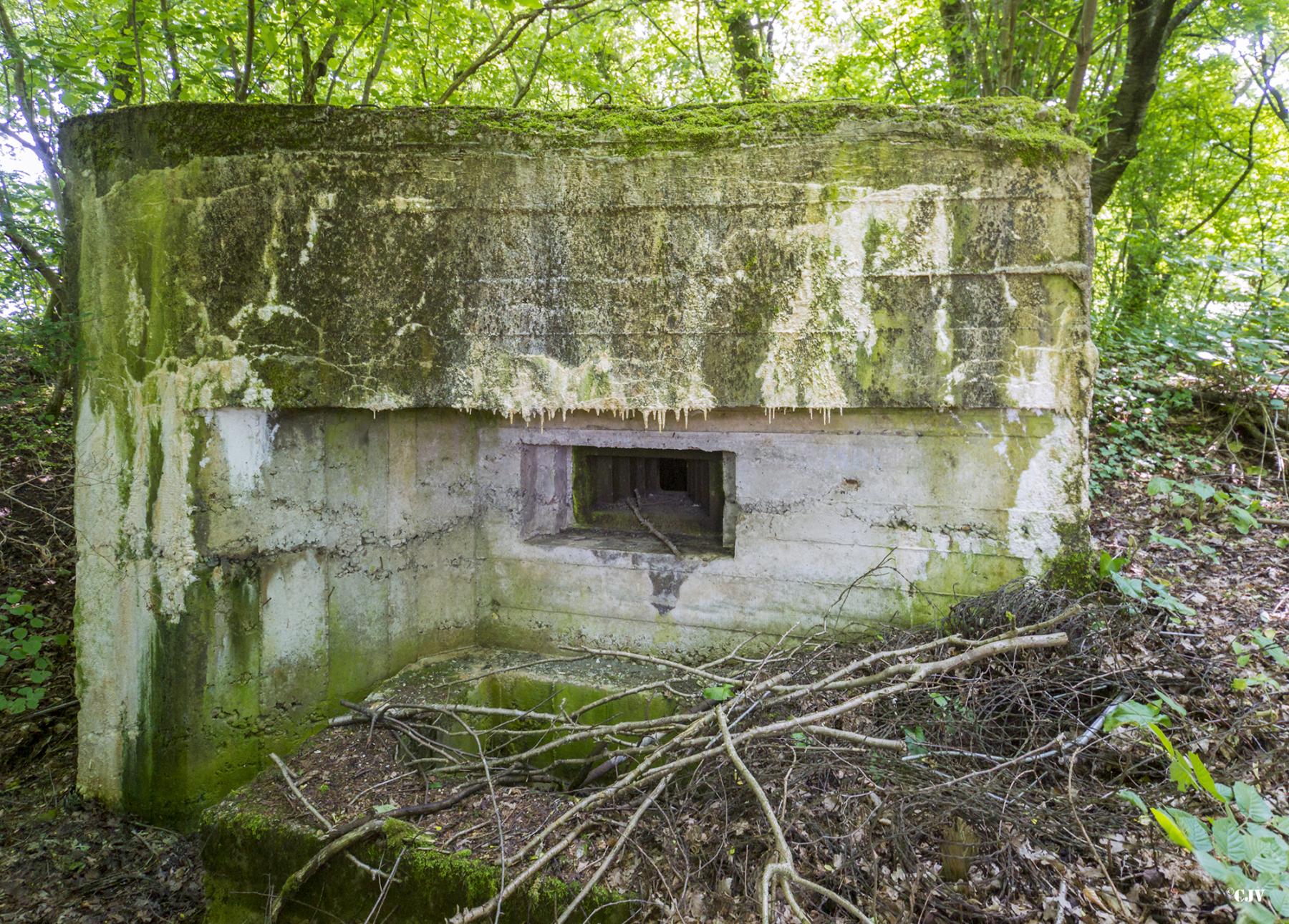Ligne Maginot - HINSING 5 - (Blockhaus pour arme infanterie) -  - Lia VERMEULEN