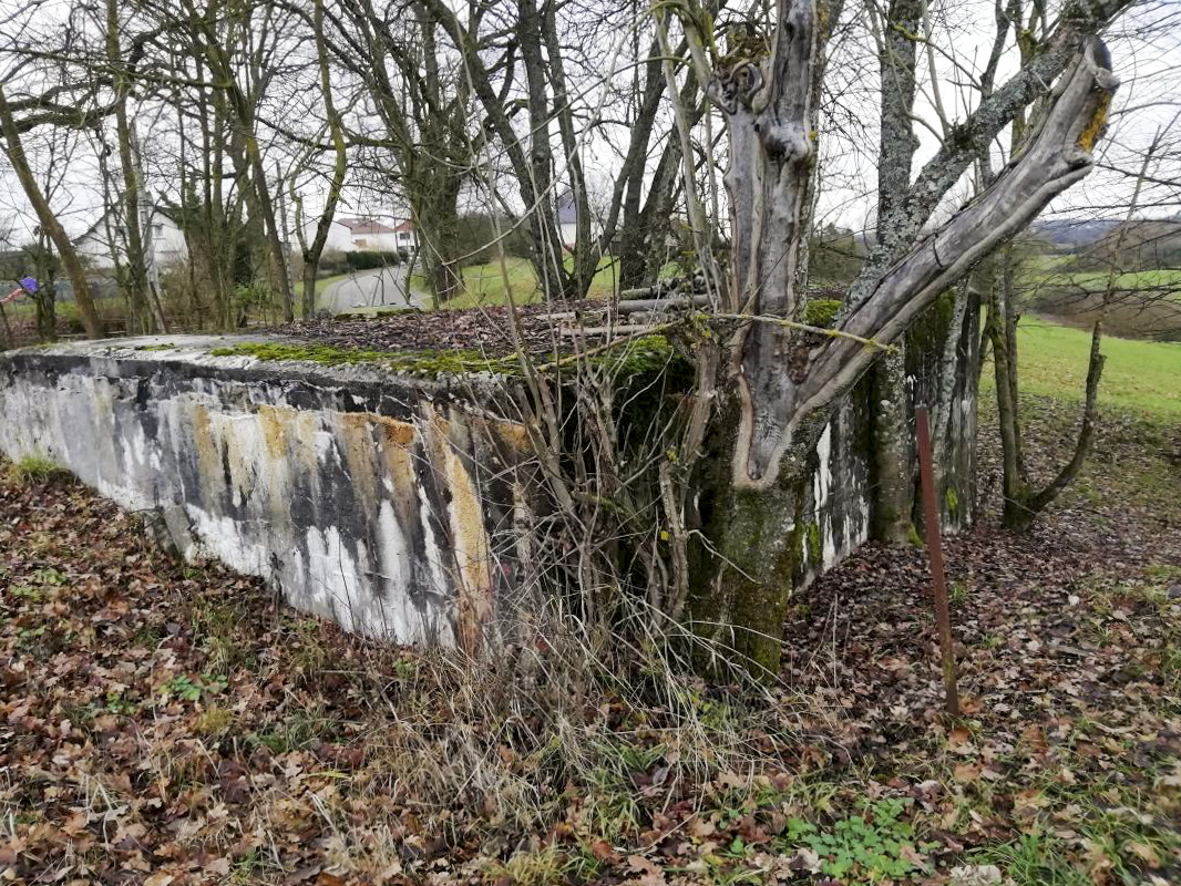 Ligne Maginot - DIGUE DE REMERING 5 - (Blockhaus pour canon) -  - Jin Jac