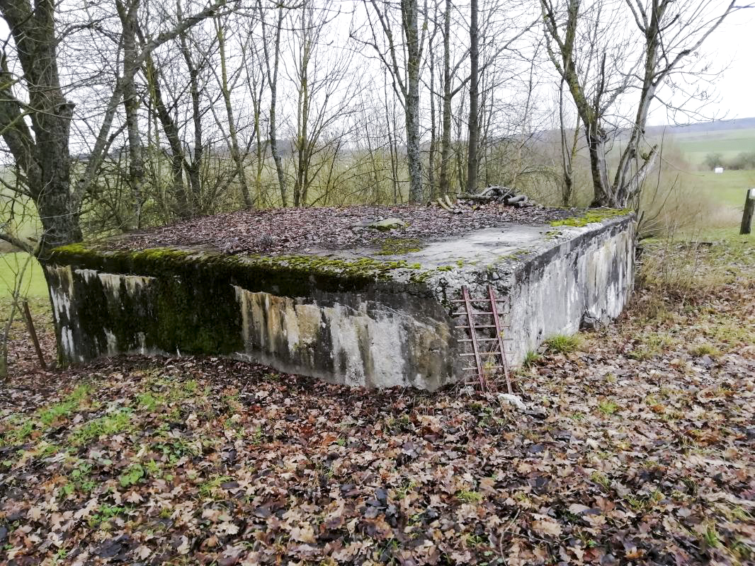 Ligne Maginot - DIGUE DE REMERING 5 - (Blockhaus pour canon) -  - Jin Jac