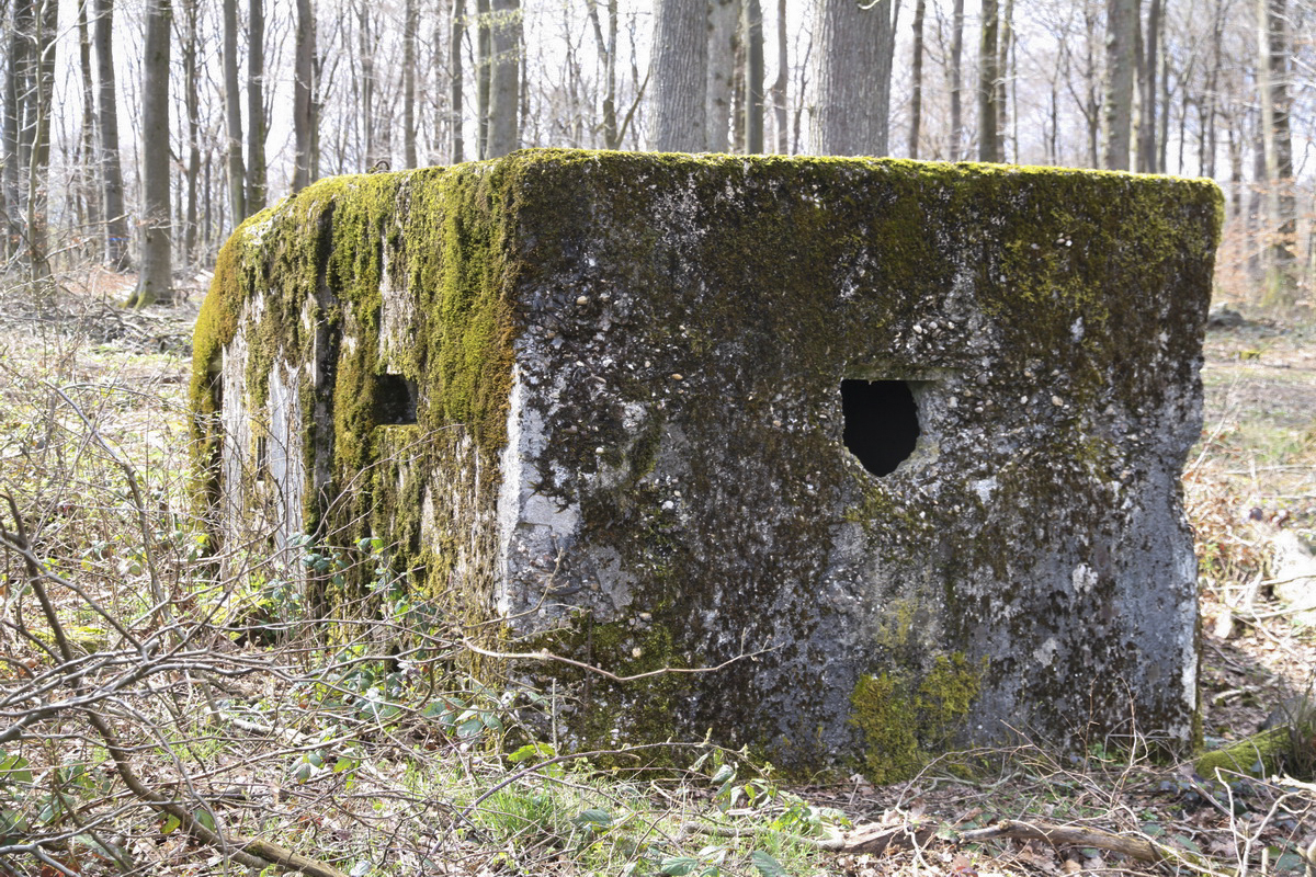 Ligne Maginot - F2B - GRUNDVILLER 5 - (Blockhaus pour arme infanterie) -  - Alain Perouffe