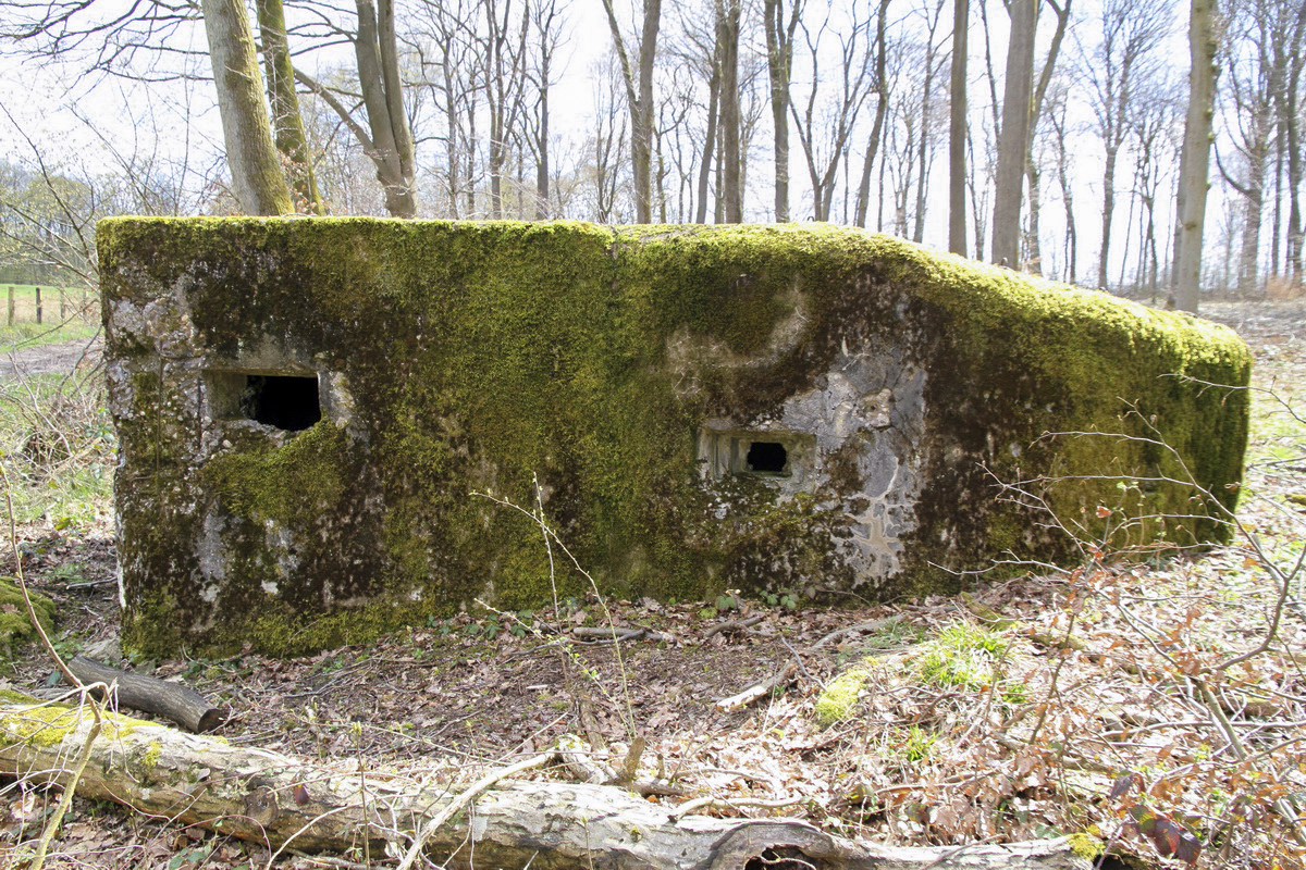 Ligne Maginot - F2B - GRUNDVILLER 5 - (Blockhaus pour arme infanterie) -  - Alain Perouffe