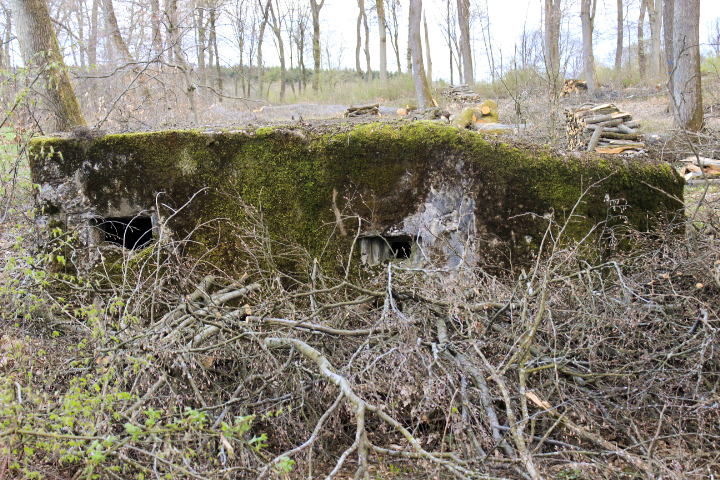 Ligne Maginot - F2B - GRUNDVILLER 5 - (Blockhaus pour arme infanterie) -  - jin jac