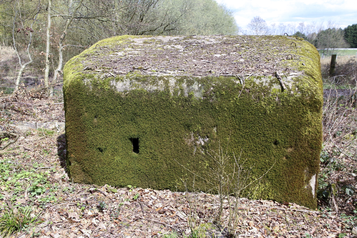 Ligne Maginot - F2B - GRUNDVILLER 5 - (Blockhaus pour arme infanterie) -  - Alain Perouffe